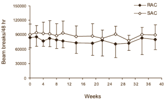 Dierstudie: langzame koolhydraten maken gespierder en actiever