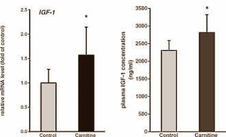 De antikatabole werking van een paar gram L-carnitine