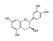 Catechine