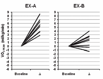 Energiedrankje Celsius maakt trainingsschema effectiever