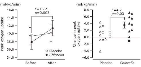 Chlorellasuppletie vergroot maximale opname van zuurstof