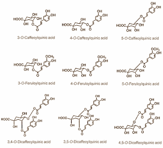 Suppletie met een extract van ongebrande koffiebonen - Green Coffee Bean Extract in supplementenjargon - kan dikke mensen op dieet helpen om kilo's extra kwijt te raken. Dat schrijven onderzoekers van de University of Scranton in een humane studie, die is gepubliceerd in Diabetes, Metabolic Syndrome and Obesity. Klinkt goed, maar honderd procent vertrouwen doen we de studie niet.