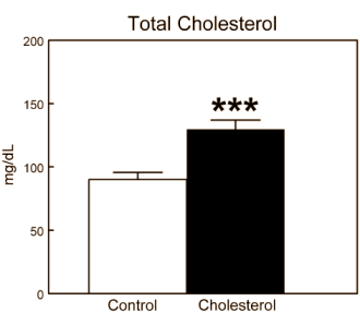 Teveel cholesterol verlaagt testosteronspiegel in dierstudie