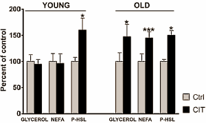 L-Citrulline verandert appel in een peer