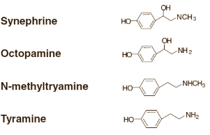 Waarom afslanksupplementen met N-methyltyramine niet werken