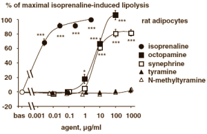 Waarom afslanksupplementen met N-methyltyramine niet werken