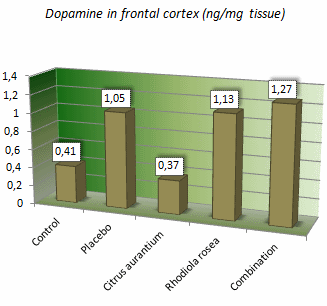 Slimme eetlustremmende afslankcombinatie: Citrus aurantium en Rhodiola rosea