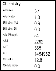 Record in de bodybuilding: creatinekinase van anderhalf miljoen