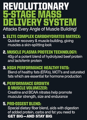 De helft van de eiwitten in Iron Mass van MusclePharm is foetsie