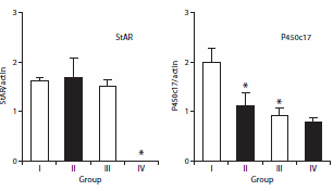 Dagje ouder? Koude douche beter voor je testosteronspiegel