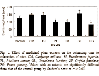 Dierstudie: Cordyceps militaris verhoogt uithoudingsvermogen