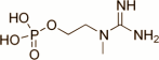 Wat is creatinol-O-phosphate?