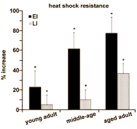 Biologen van Clemson University in de Verenigde Staten hebben ontdekt dat een extract van cranberry een ongewoon krachtige levensverlengende werking heeft. Toediening van cranberry kan de levensduur van het wormpje Caenorhabditis elegans - je ziet er eentje hieronder - bijna verdubbelen.