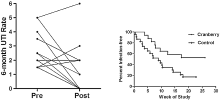 Vrouwen die voortdurend last hebben van infecties van de urinewegen verbeteren hun kansen als ze elke dag 42 gram gedroogde cranberries eten. Dat schrijven urologen en voedingswetenschappers van de University of Wisconsin in Nutrition Journal. Een kuurtje van 2 weken heeft volgens de onderzoekers maar liefst een half jaar effect.