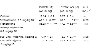 1986: Indiase onderzoekers ontdekken de anabole werking van Cucumis trigonus Roxburghii
