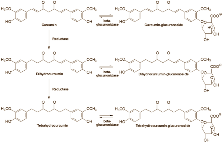 Een nieuw curcuminsupplement is bijna vijftig keer effectiever dan recht-toe-recht-aan curcumin. Dat schrijven Amerikaanse onderzoekers in Nutrition Journal.