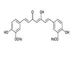 MRI legt antikatabole werking van curcumin vast