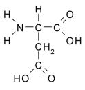 Drie gram D-aspartaat verhoogt testosteronspiegel met veertig procent