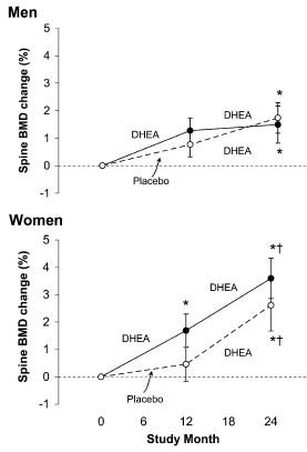 Vijftig milligram DHEA/dag anabool voor vrouwen