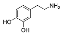 Dopamine