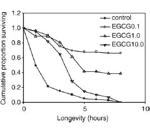 Dierstudie: EGCG verlengt leven onder stress