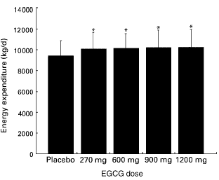 Supplement met EGCG en cafeïne verhoogt verbranding met 178 kcal