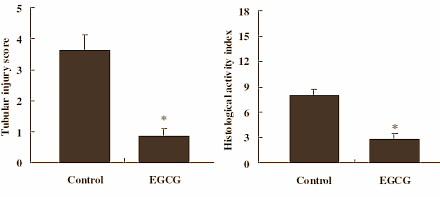 Als je elke dag zo'n driehonderd milligram van het theeflavonoid EGCG binnenkrijgt, dan leef je misschien veertien procent langer. Als je tenminste net zo goed op EGCG reageert als de proefdieren van voedingswetenschappers van Harbin Medical University in China. De resultaten van hun experimenten verschijnen binnenkort in Aging Cell.