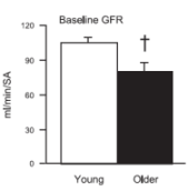 Jonge nieren functioneren prima bij eiwitdieet, oude nieren niet