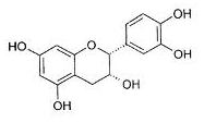 Epicatechine