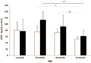 Lichaamsbeweging voorkomt krakkemikkige en zieke oude dag