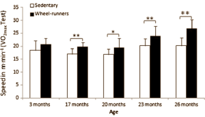 Lichaamsbeweging voorkomt krakkemikkige en zieke oude dag