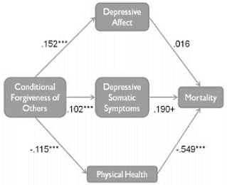 Vergevingsgezindheid verlengt de levensduur. Dat ontdekte de Amerikaanse psycholoog Loren Toussaint door een studie onder meer dan twaalfhonderd 65-plussers. Het onderzoek verschijnt binnenkort in de Journal of Behavioral Medicine.