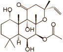 Als je dagelijks een gram extract van de wortels van de plant Coleus forskohlii slikt, dan kun je in twee maanden tijd 2.3 kg afvallen. Zonder dat je beknibbelt op je inname van kilocalorieën, aldus onderzoekers van de Japanse tak van de DHC Corporation. DHC is een producent van cosmetica en beauticeuticals.