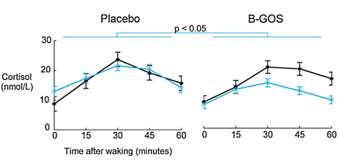 Supplement met galacto-oligosaccharides verlaagt aanmaak cortisol