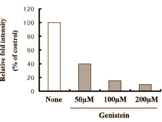 Genisteine, capsaicin en EGCG remmen vetcel via AMPK