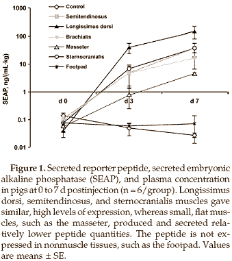 Gendoping is vlakbij. Die conclusie kun je trekken uit de studie van Amerikaanse onderzoekers in de Journal of Animal Science. In het artikel vertellen de Amerikanen over hun proeven op varkens die harder gingen groeien nadat ze extra genen hadden gekregen voor het hormoon GHRH.