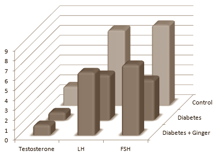 Gember verhoogt de concentratie testosteron in het bloed, vertelden we al een paar keer. We blijven het raar vinden dat een keukenkruid zo'n werking heeft. Vandaar onze interesse in een Tunesische dierstudie, waarin onderzoekers de testosteronspiegel van diabete ratten met gemberpoeder normaliseerden.