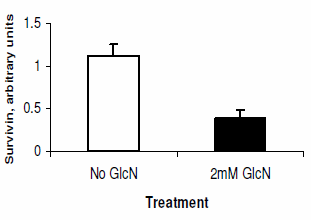 Glucosamine remt taaie kankertypes