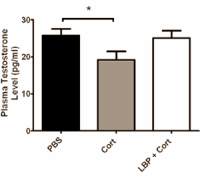 Handjevol gojibessen beschermt testosteron tegen stress