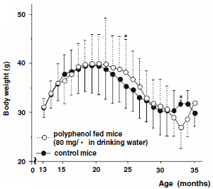 Drink groene thee in plaats van water - en leef langer