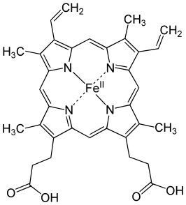 Hemoglobine