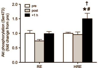 We zien nog niet in hoe krachtsporters het principe zouden kunnen toepassen waarover Japanse bewegingswetenschappers hebben geschreven in the Journal of Physiological Sciences. De apparatuur die de Japanners gebruikten om na krachttraining anabole processen in spieren te versterken is nog niet op de markt. Niet op de markt waar het klootjesvolk z'n boodschappen doet, tenminste. Of zou je ook infraroodlampen kunnen gebruiken?