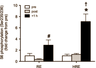 We zien nog niet in hoe krachtsporters het principe zouden kunnen toepassen waarover Japanse bewegingswetenschappers hebben geschreven in the Journal of Physiological Sciences. De apparatuur die de Japanners gebruikten om na krachttraining anabole processen in spieren te versterken is nog niet op de markt. Niet op de markt waar het klootjesvolk z'n boodschappen doet, tenminste. Of zou je ook infraroodlampen kunnen gebruiken?