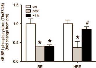 We zien nog niet in hoe krachtsporters het principe zouden kunnen toepassen waarover Japanse bewegingswetenschappers hebben geschreven in the Journal of Physiological Sciences. De apparatuur die de Japanners gebruikten om na krachttraining anabole processen in spieren te versterken is nog niet op de markt. Niet op de markt waar het klootjesvolk z'n boodschappen doet, tenminste. Of zou je ook infraroodlampen kunnen gebruiken?