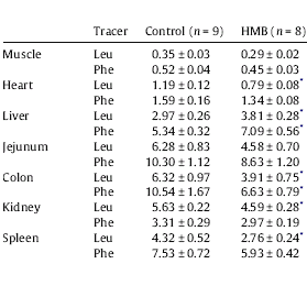 HMB remt eiwitstofwisseling in dierstudie