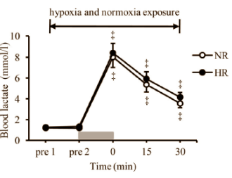 Verhoogde groeihormoonpiek maakt trainen in de hypoxiagym effectiever