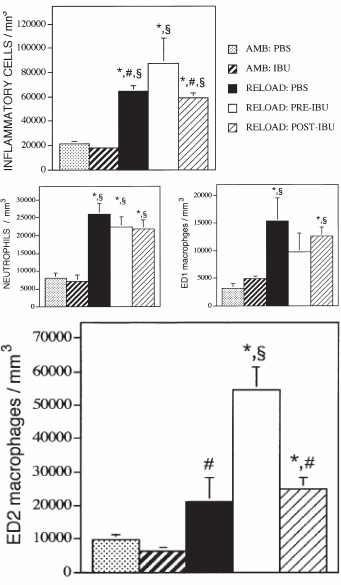 Ibuprofen laat immuuncellen spierweefsel opbouwen