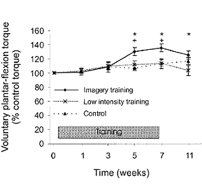 Denkbeeldige training maakt kuitspieren sterker