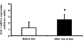 Koolhydraatarm maar eiwitrijk dieet laat spieren groeien zonder training