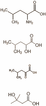 Leucine werkt helemaal niet. Dat beweren de goudeerlijke en strikt onafhankelijke wetenschappers van voedingsconcern Nestle in een recent verschenen dierstudie. Maar de leucine-metaboliet HICA, die werkt wel. Wij geloven er geen bal van.